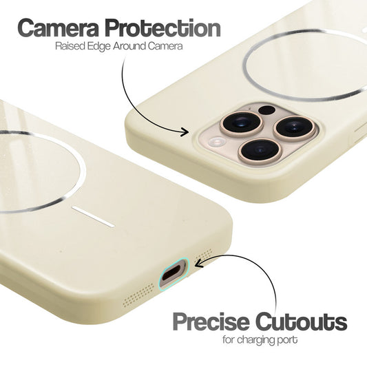 Apple iPhone 16 Pro Polished Titanium Hard Case